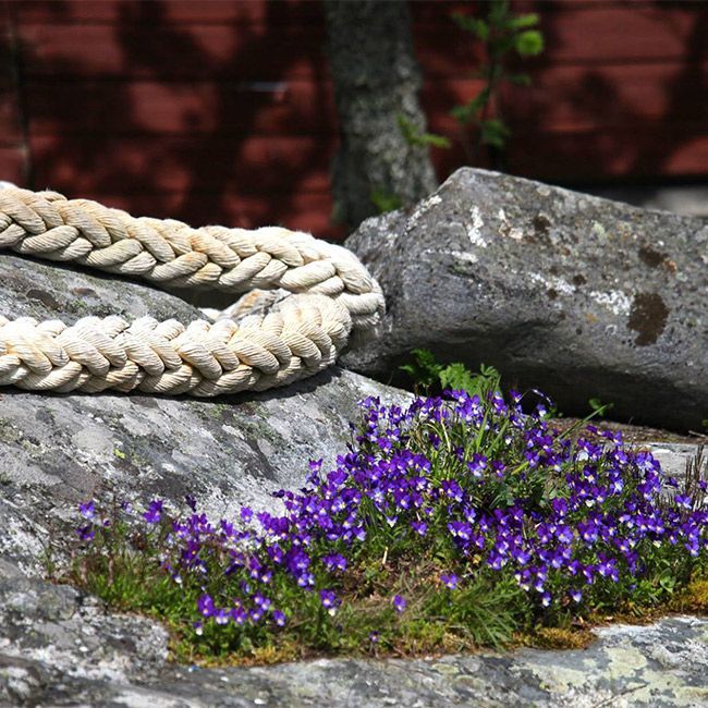 Lahjakortti Isokarin palveluihin ja tuotteisiin