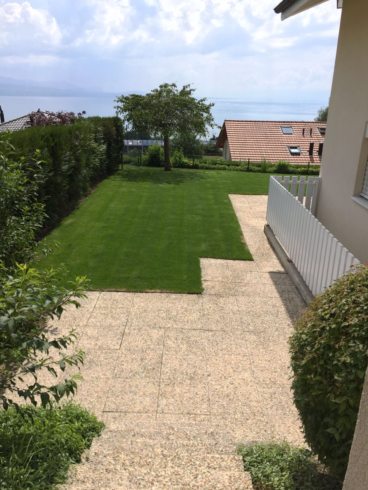 Gazon pré-cultivé - Passiflore Jardin Sàrl