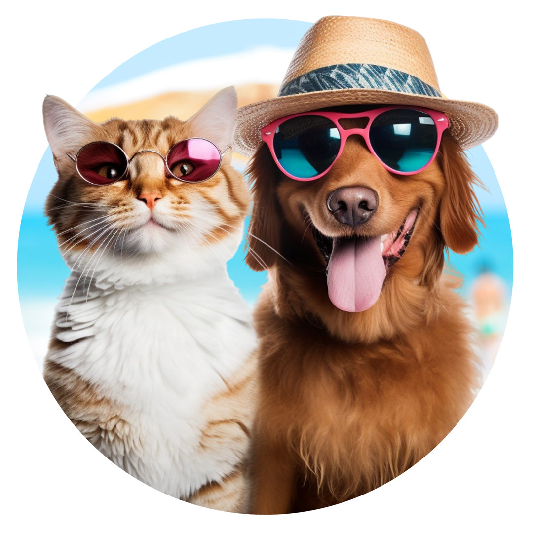 Un chat et un chien portant des lunettes de soleil