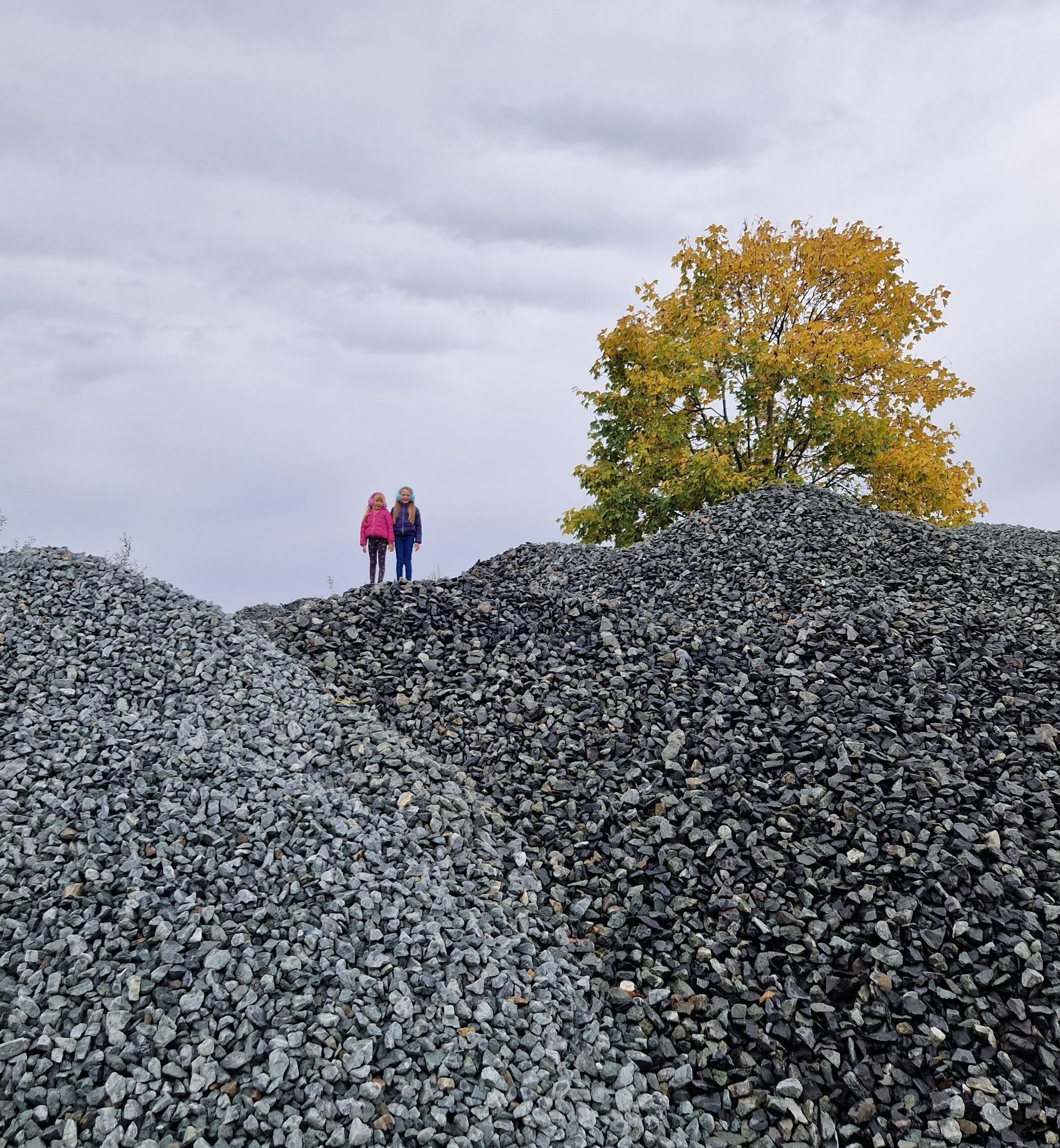 Bagger transportiert Kies