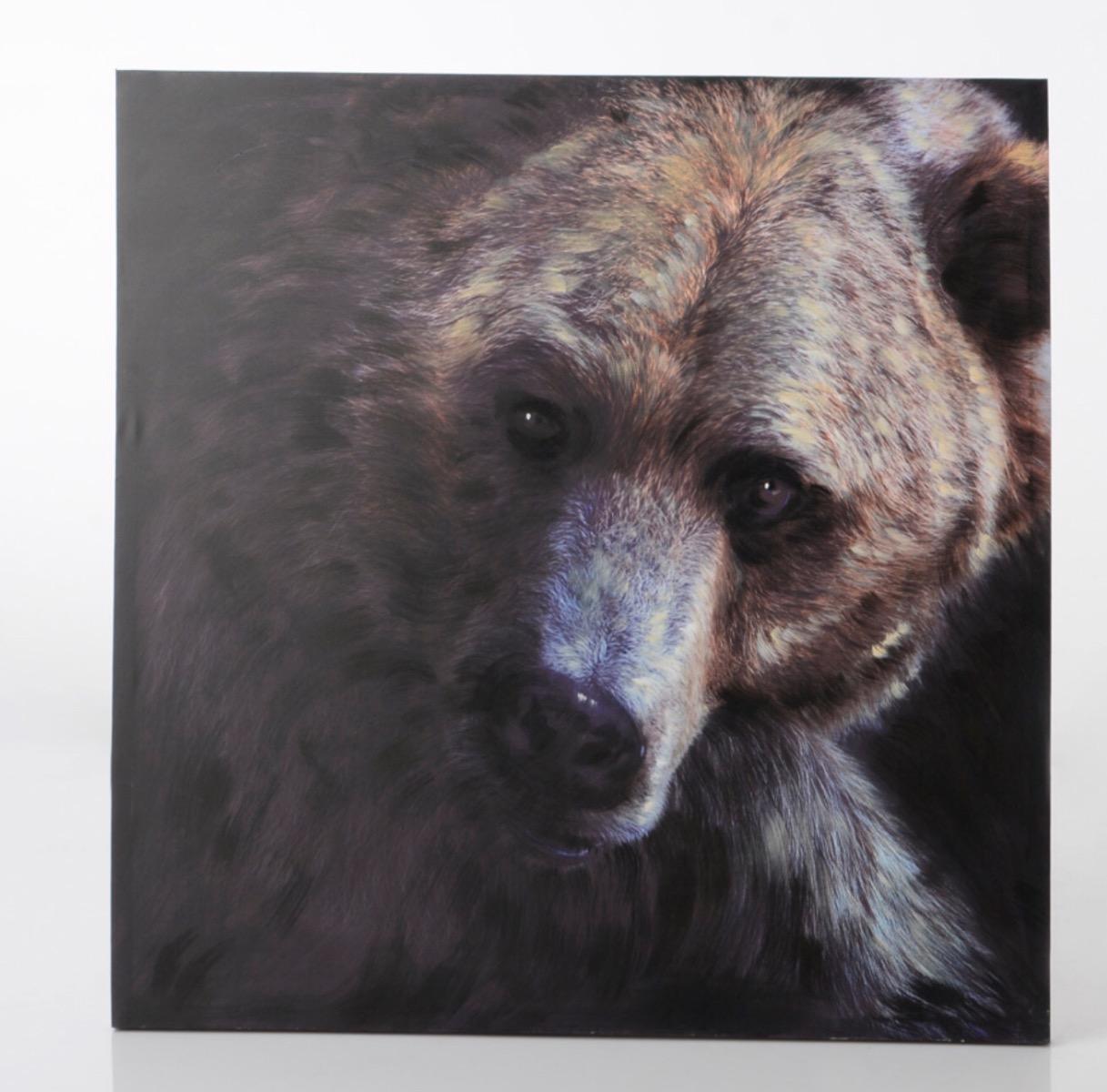 Une peinture splendide pour cet ours brun