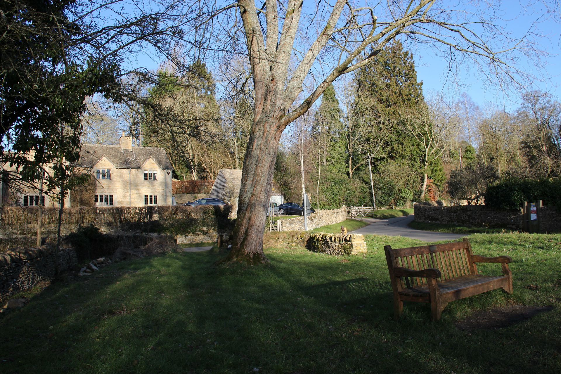 Parc ensoleillé avec de grands arbres, un banc et une maison au bord d'un étang ou d'un ruisseau.