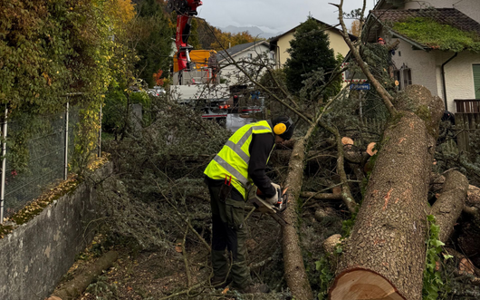 Gärtner schneidet Sträucher