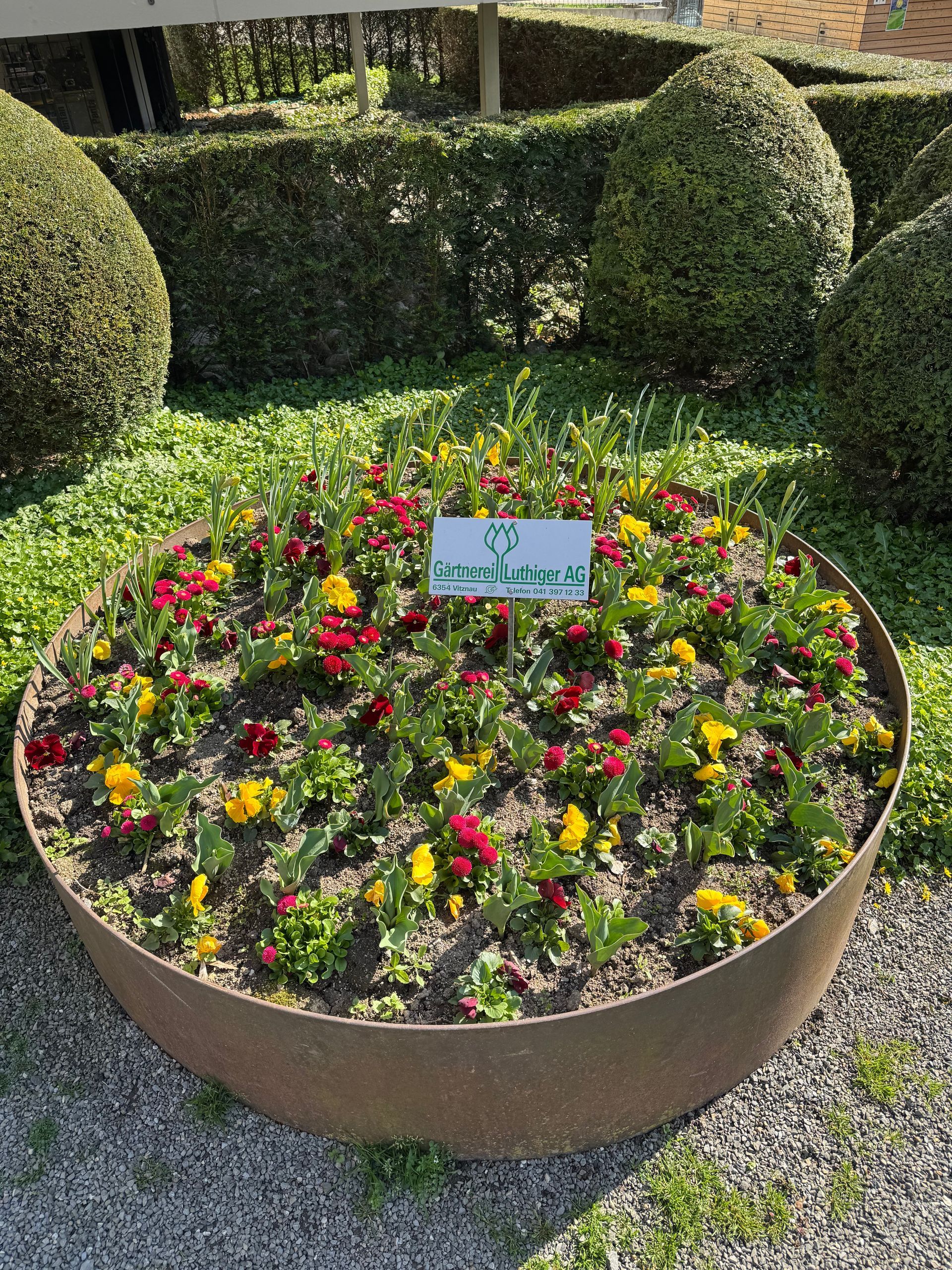 Paar sucht Blumen aus