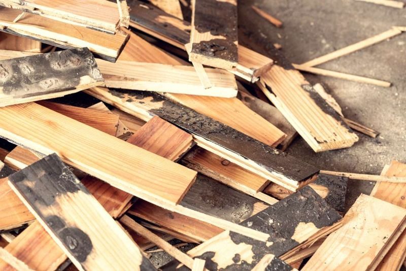 Holz mit Schadstoffbefall