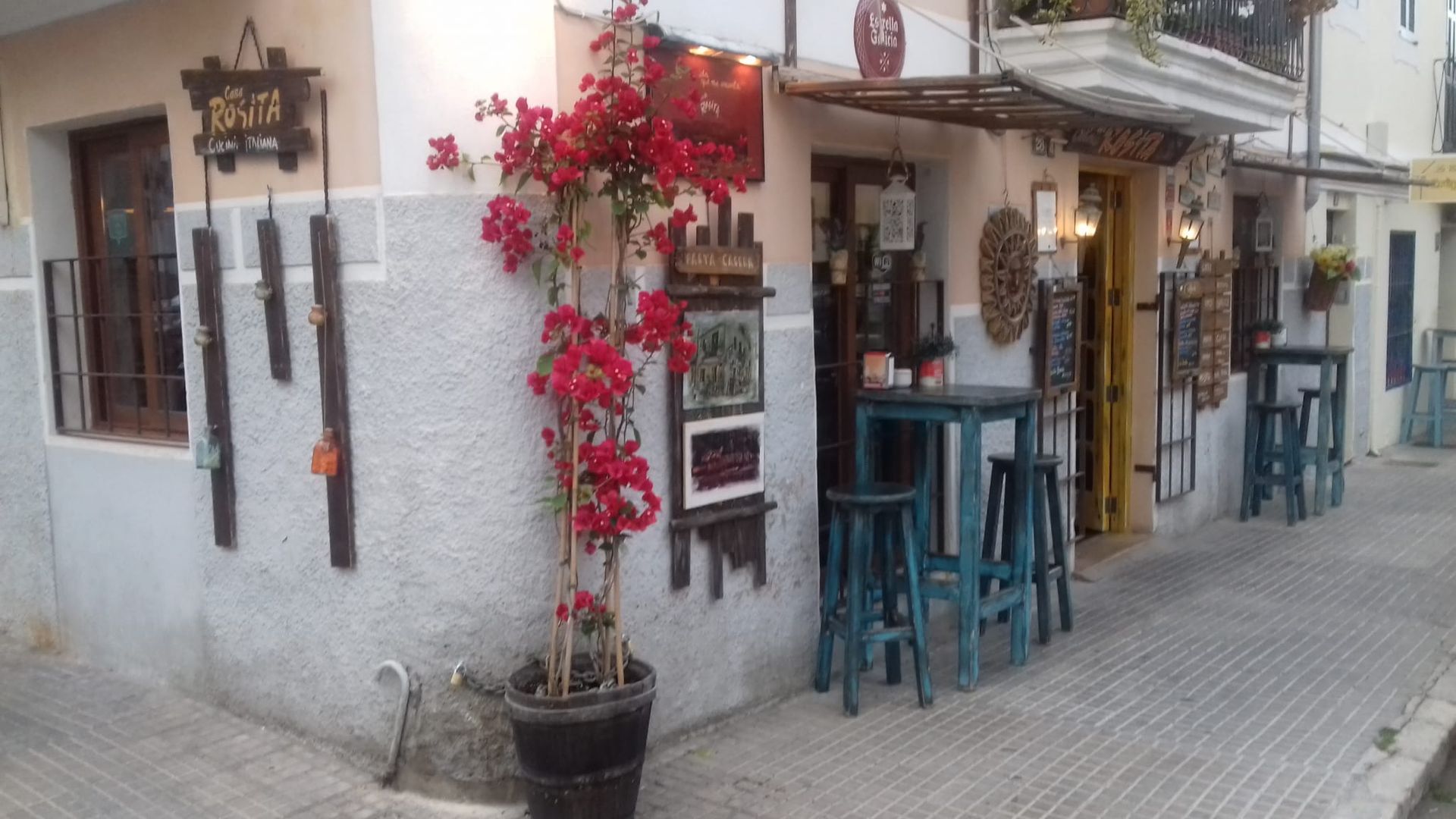 Una planta en maceta está delante de un edificio con mesas y sillas.