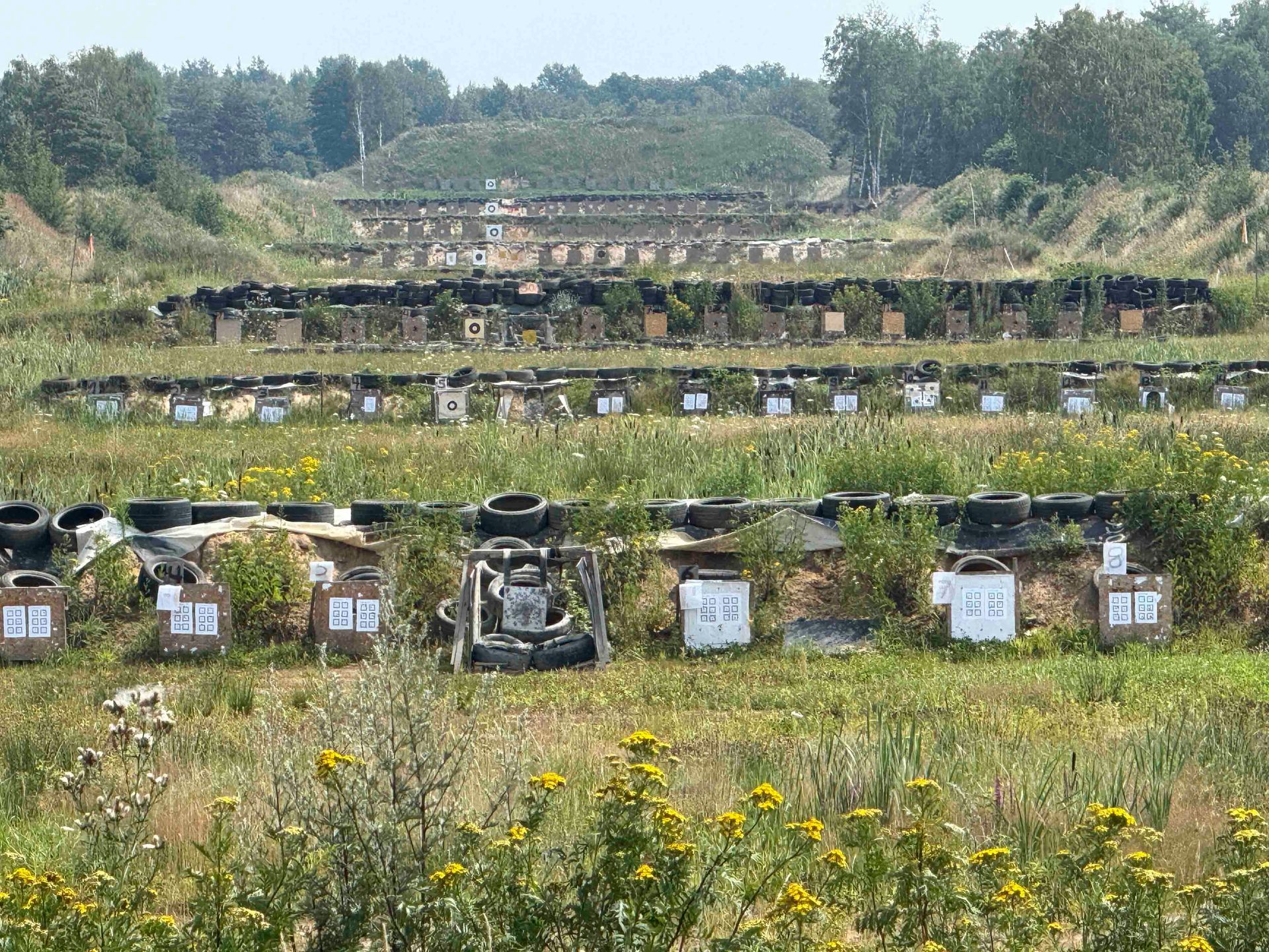 Freiluft-Schießstand mit in Reihen aufgestellten Zielscheiben, umgeben von Wiesen und Bäumen.
