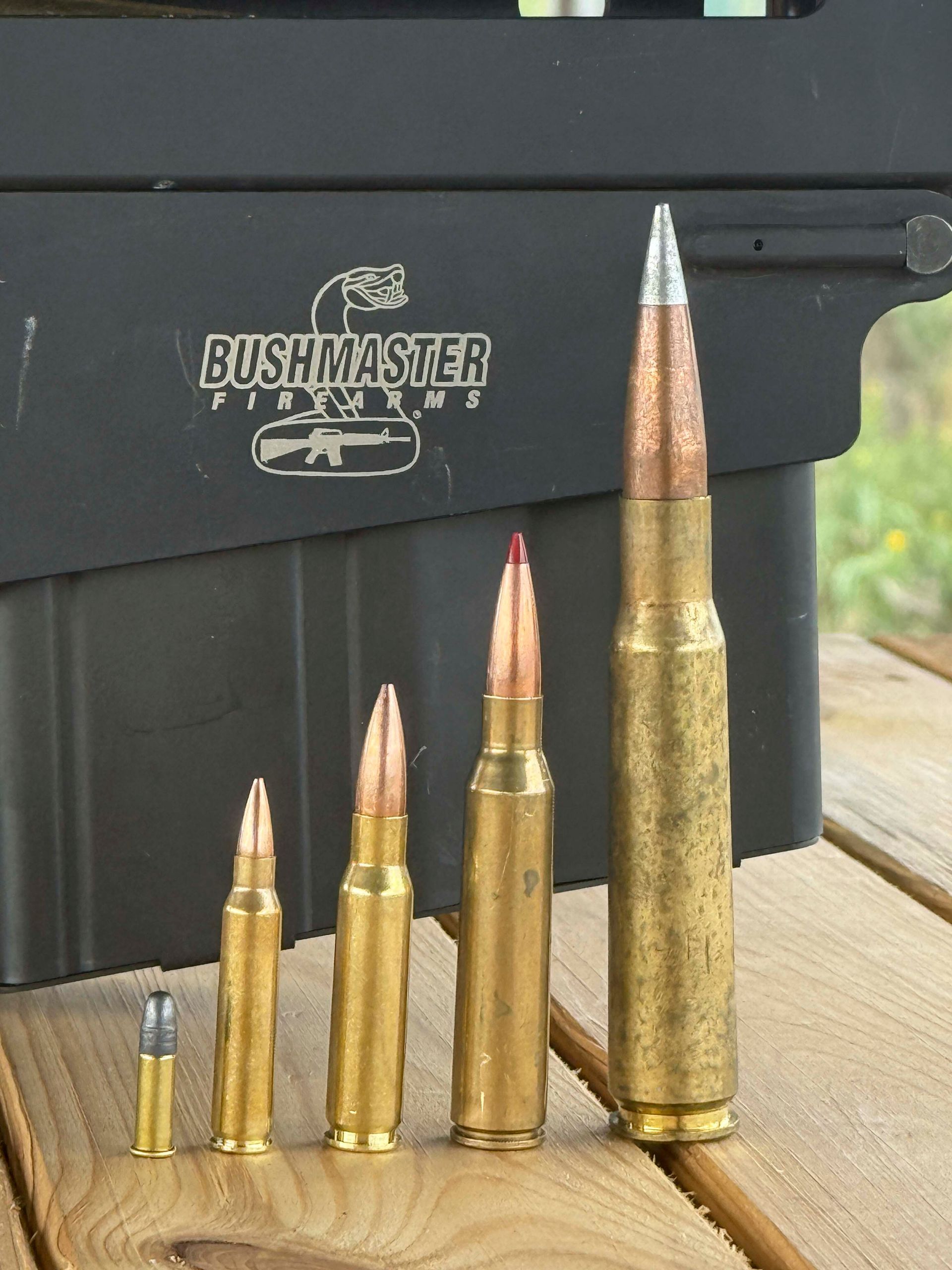 Fünf verschiedene Gewehrpatronen lagen vor einem Bushmaster-Waffenkoffer aufgereiht.