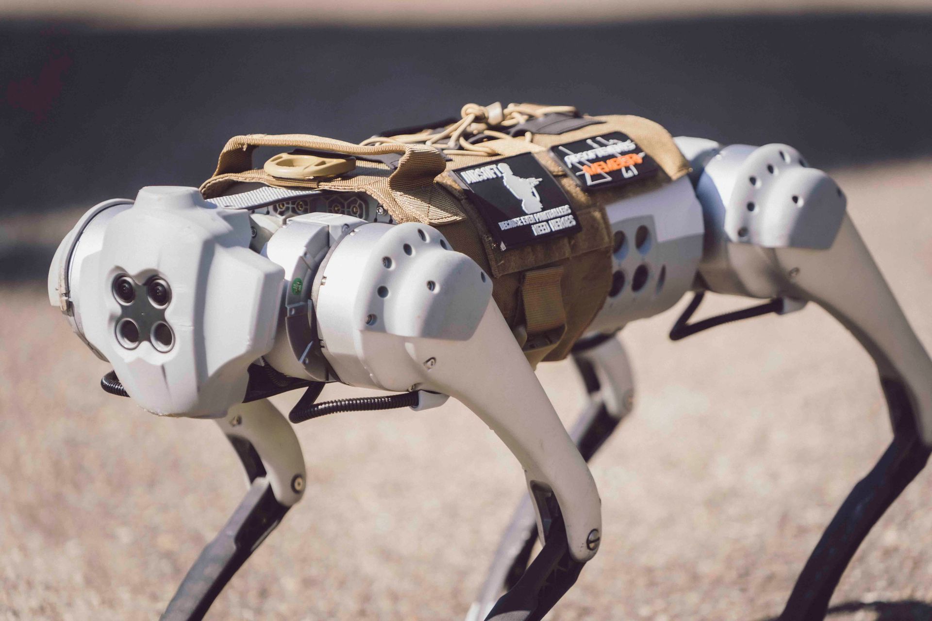 Ein grau-weißer Roboterhund mit beigem Rucksack steht im Freien.