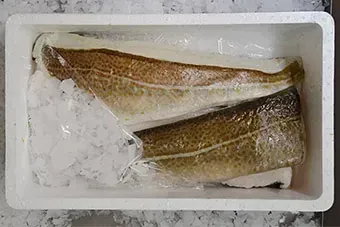 Dos peces están envueltos en plástico y colocados sobre hielo dentro de una caja de poliestireno.