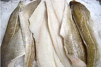 Una pila de peces sobre el hielo.