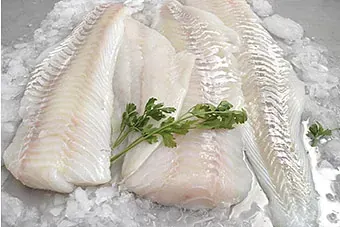 Tres trozos de pescado están sobre el hielo.