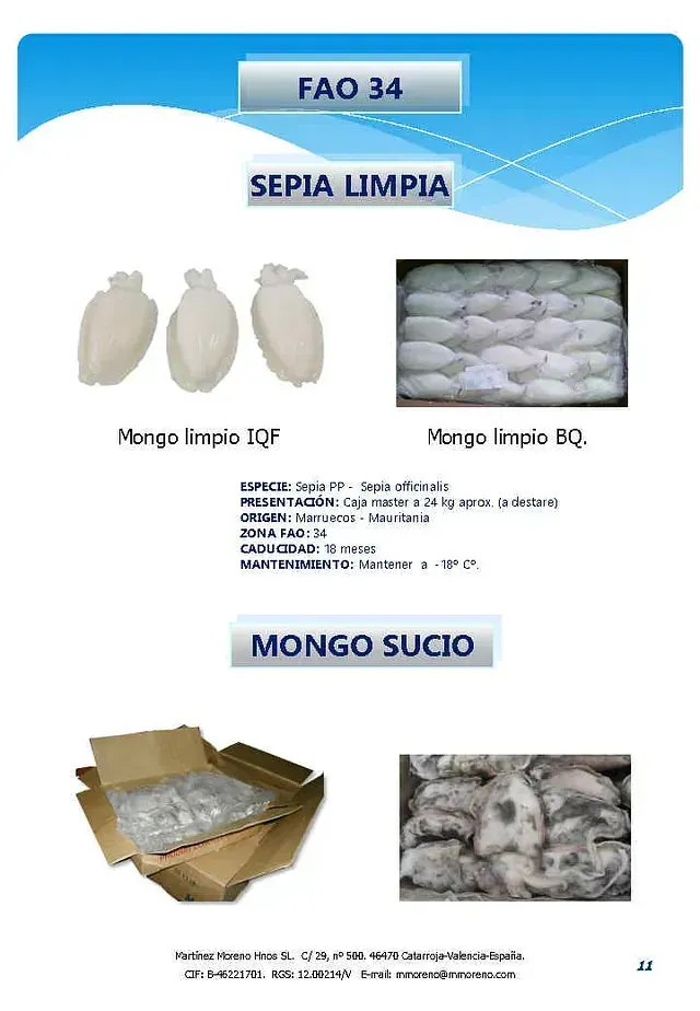 Mango, muestra dos presentaciones