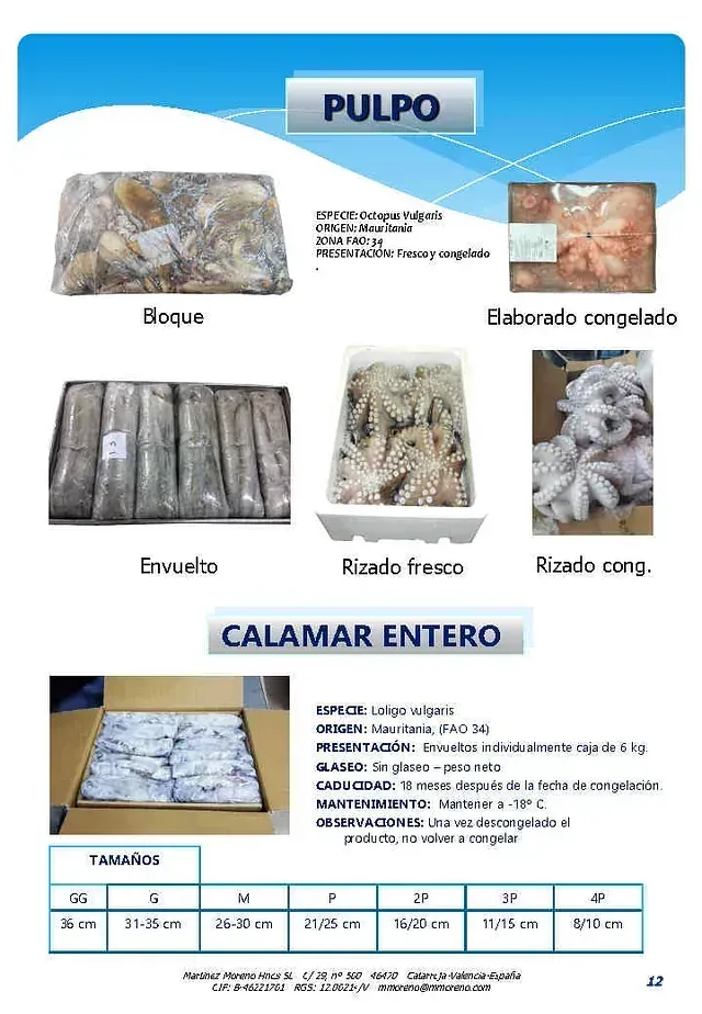 Se muestra un folleto de pulpo y calamar entero.