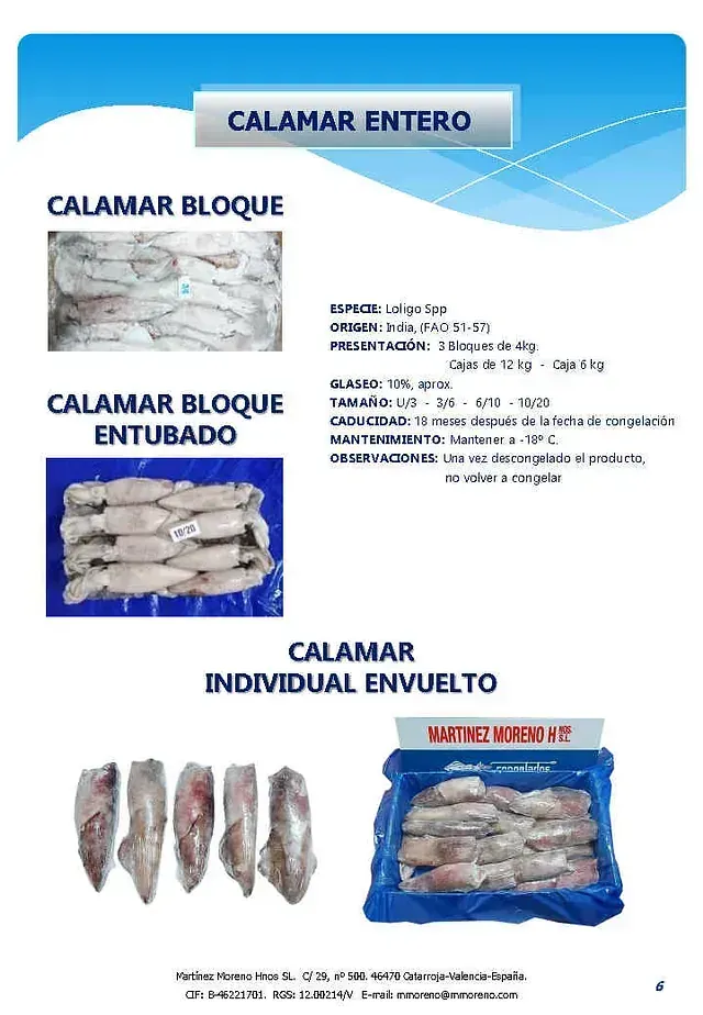 Una página de un folleto de calamar entero