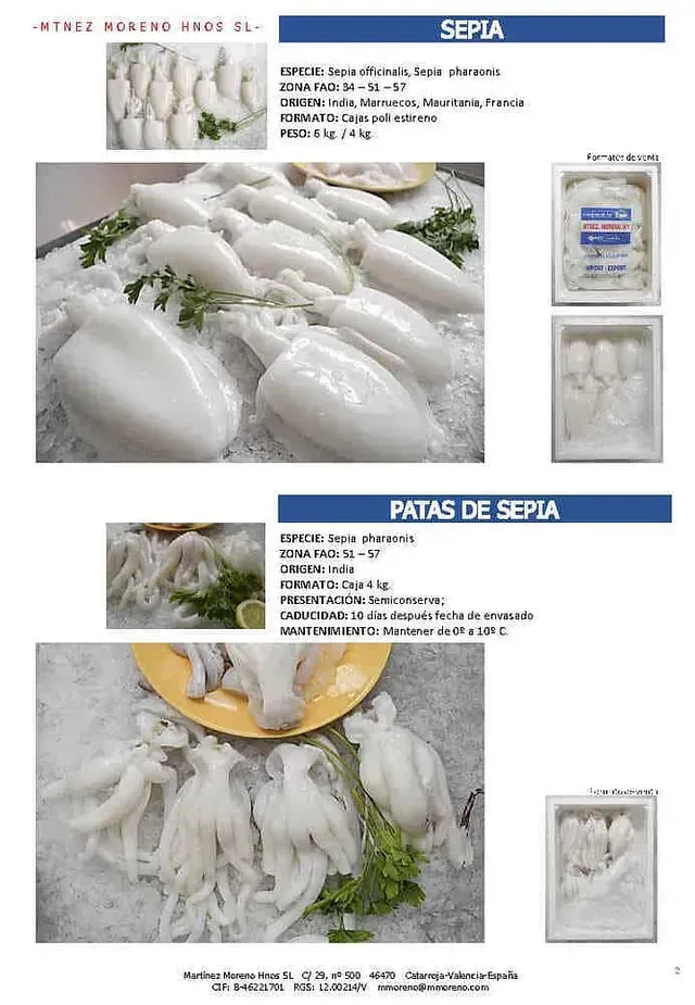 Hay muchos tipos diferentes de calamares en este folleto.