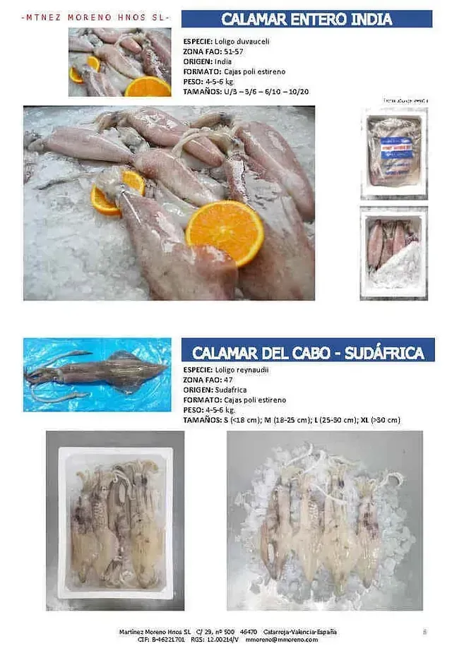 Una imagen de un calamar con una rodaja de naranja encima.