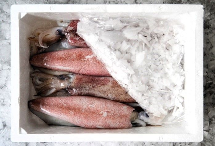 Una caja llena de calamares y hielo sobre una mesa.