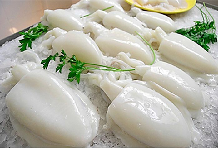 Un grupo de sepias están sentadas encima del hielo.