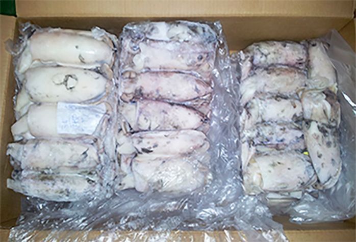 Una caja de calamares congelados envueltos en plástico sobre un fondo blanco.