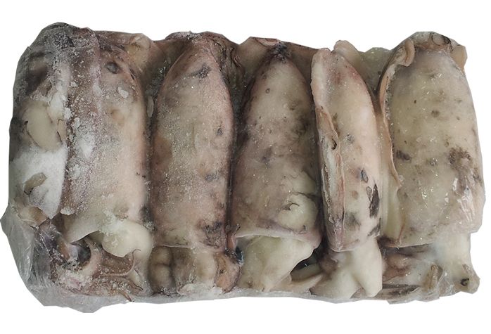 Un montón de calamares congelados sobre un fondo blanco.