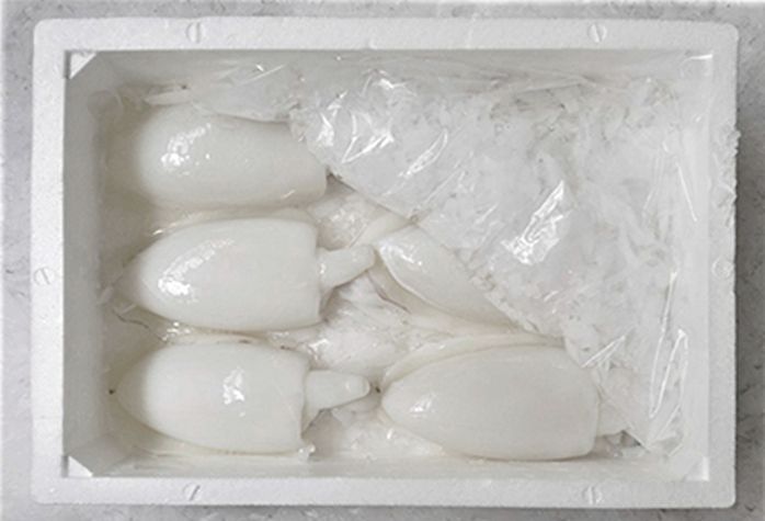 Una caja de poliestireno llena de huevos blancos y hielo.