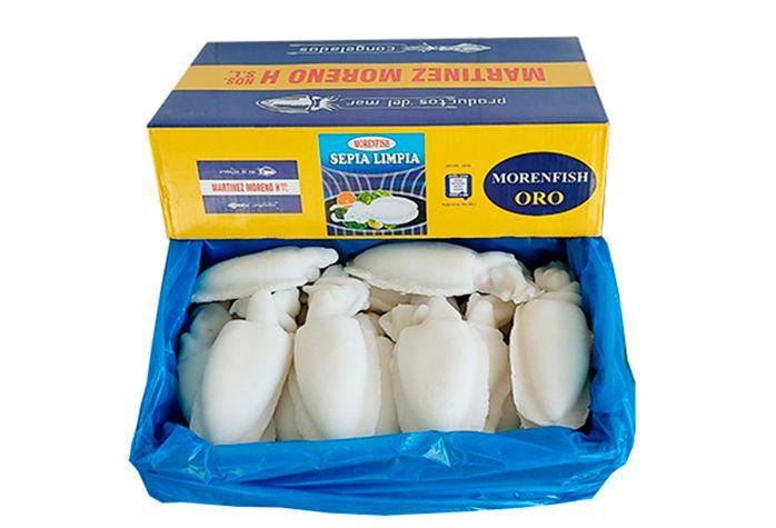 Una caja de sepia está encima de una bolsa azul.