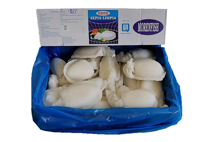 Una caja de sepia está encima de una bolsa azul.