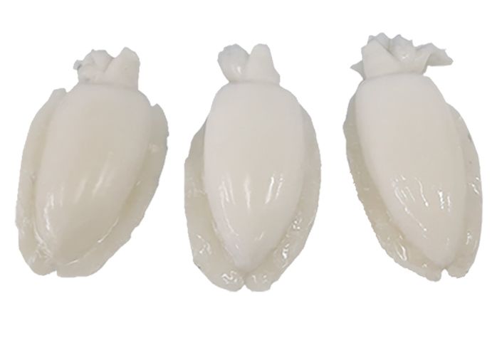 Tres sepias blancas están sentadas una al lado de la otra sobre una superficie blanca.