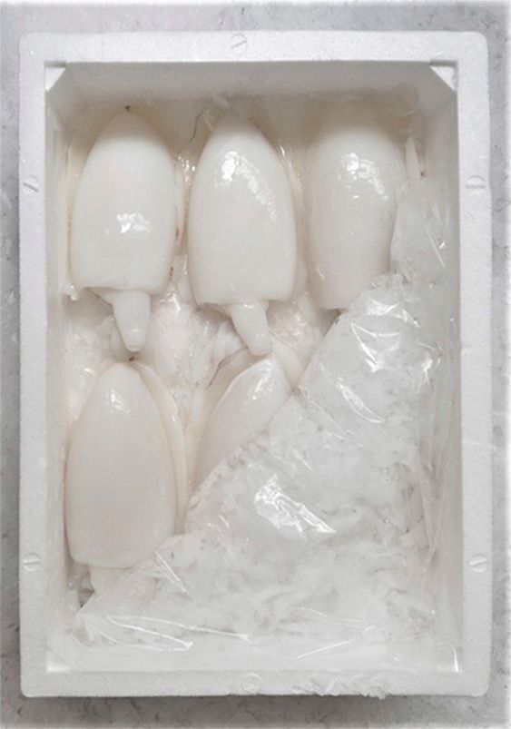 Una caja blanca llena de huevos blancos y envoltura de plástico.