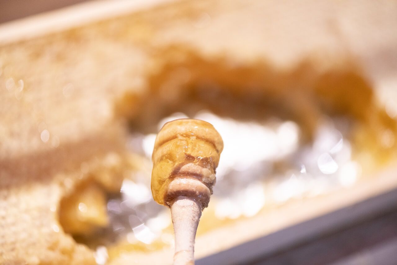 Honiglöffel tropft in ein Glas goldenen Honig beim Frühstück Kirchheimbolanden.