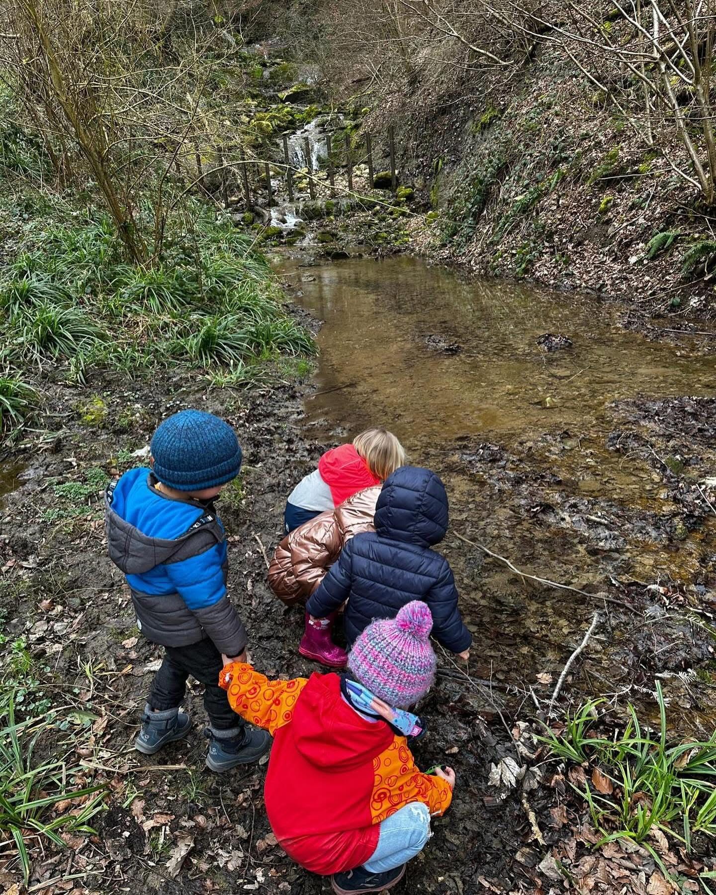 Eine Gruppe Kinder schaut sich einen Bach im Wald an.