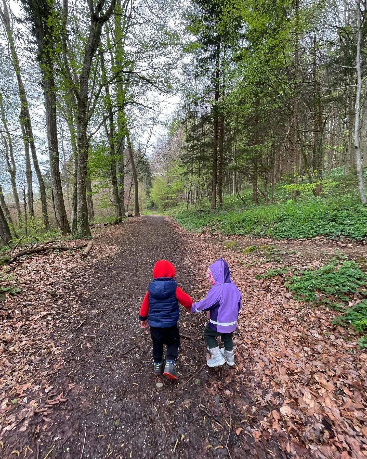 Zwei Kinder gehen Hand in Hand einen Waldweg entlang.