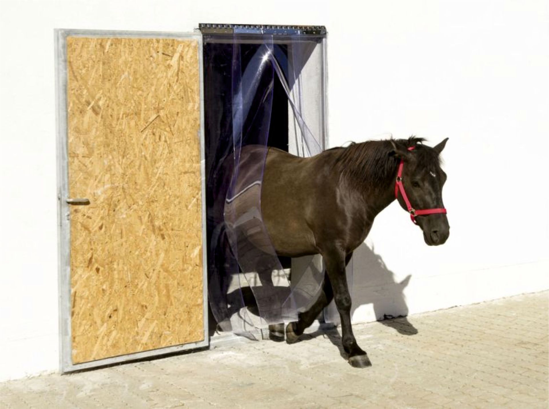 Streifenvorhänge für Tiere