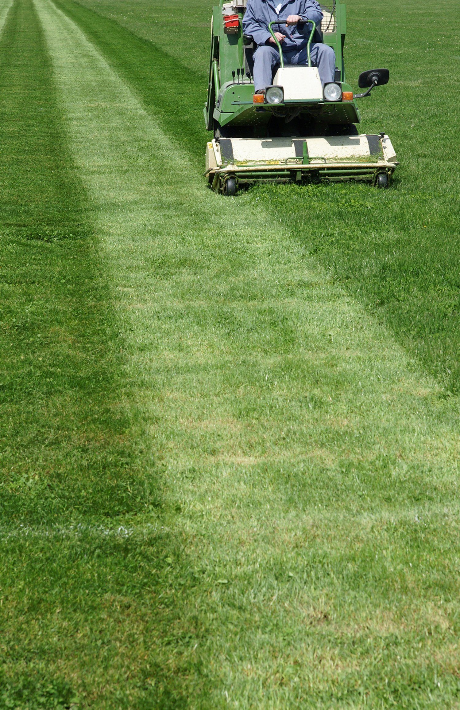 Tonte professionnelle