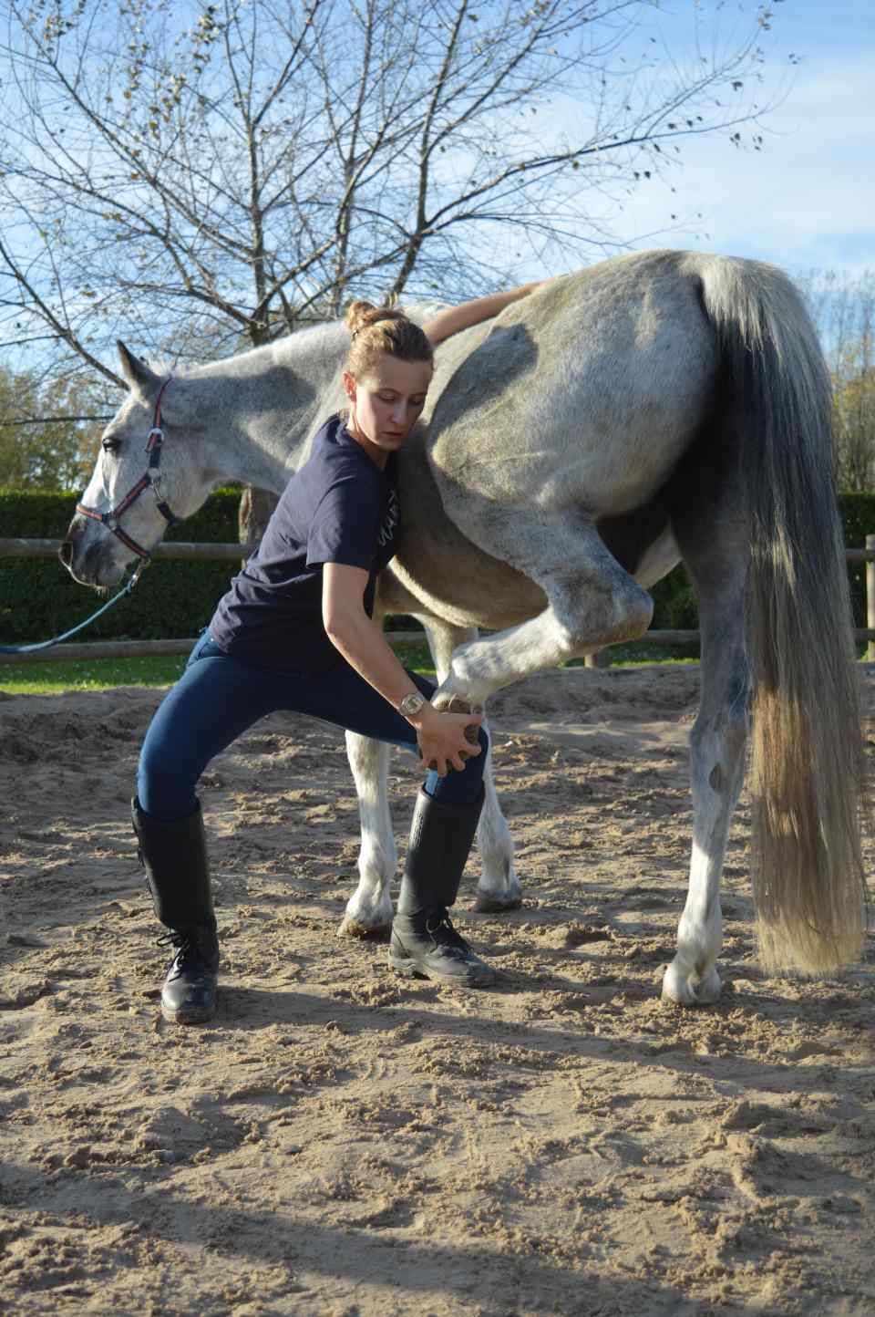 une femme est agenouillée à côté d'un cheval dans un champ de terre.