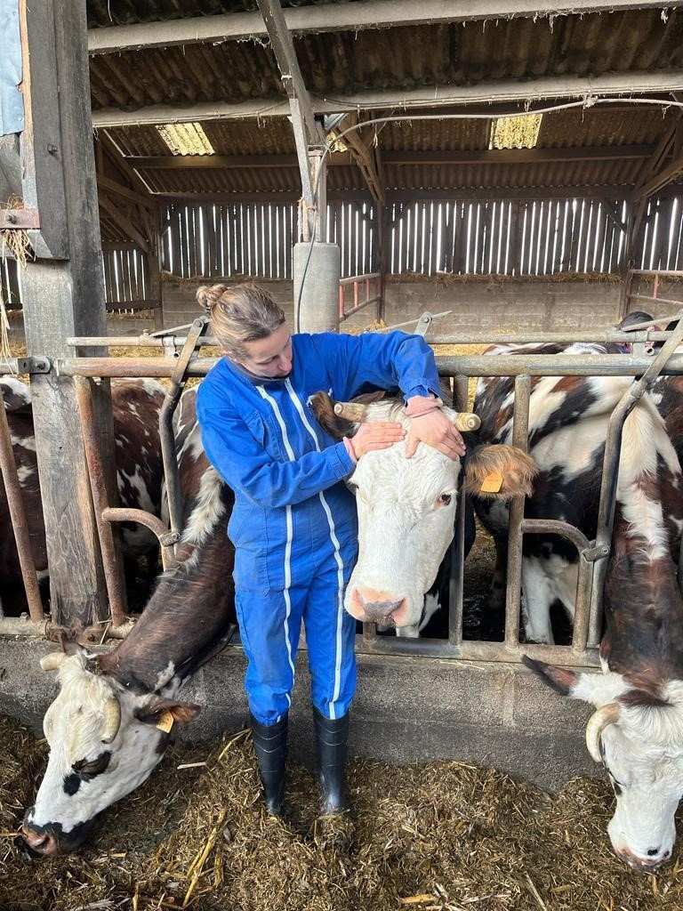 une femme en combinaison bleue caresse une vache dans une grange.