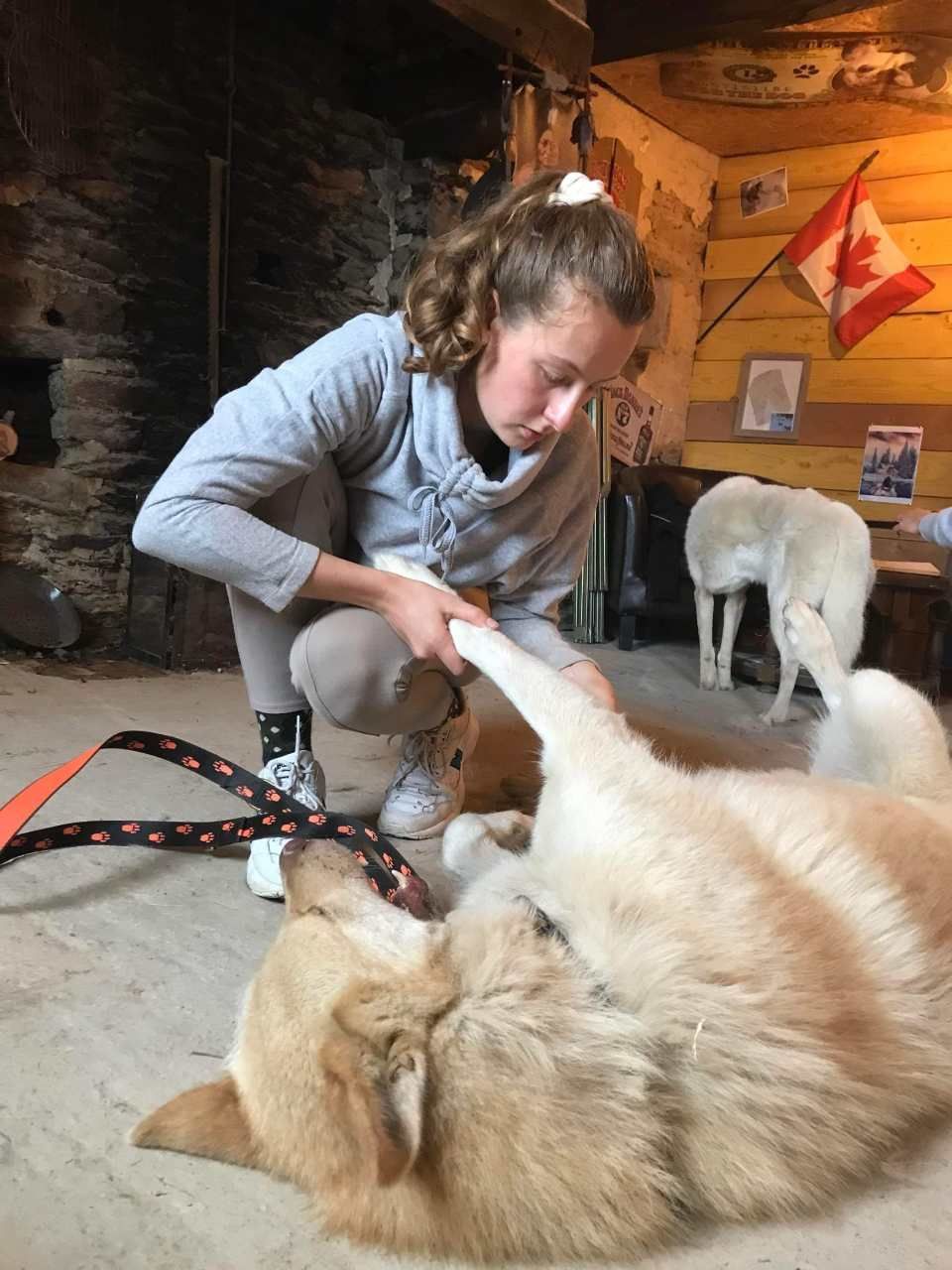 une femme caresse un chien couché sur le dos.