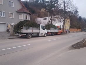 Zwei mit immergrünen Zweigen beladene Pritschenwagen parkten auf einer Straße vor Gebäuden.