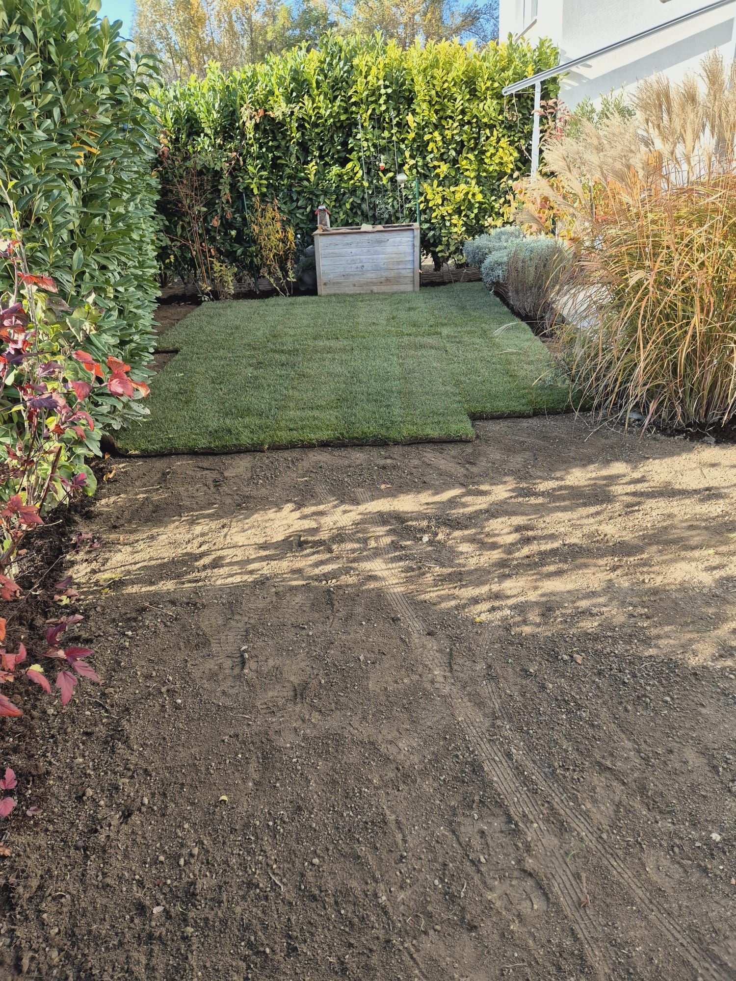 Frisch verlegter Rollrasen in einem Hinterhof, umgeben von Sträuchern und vorbereiteter Erde.