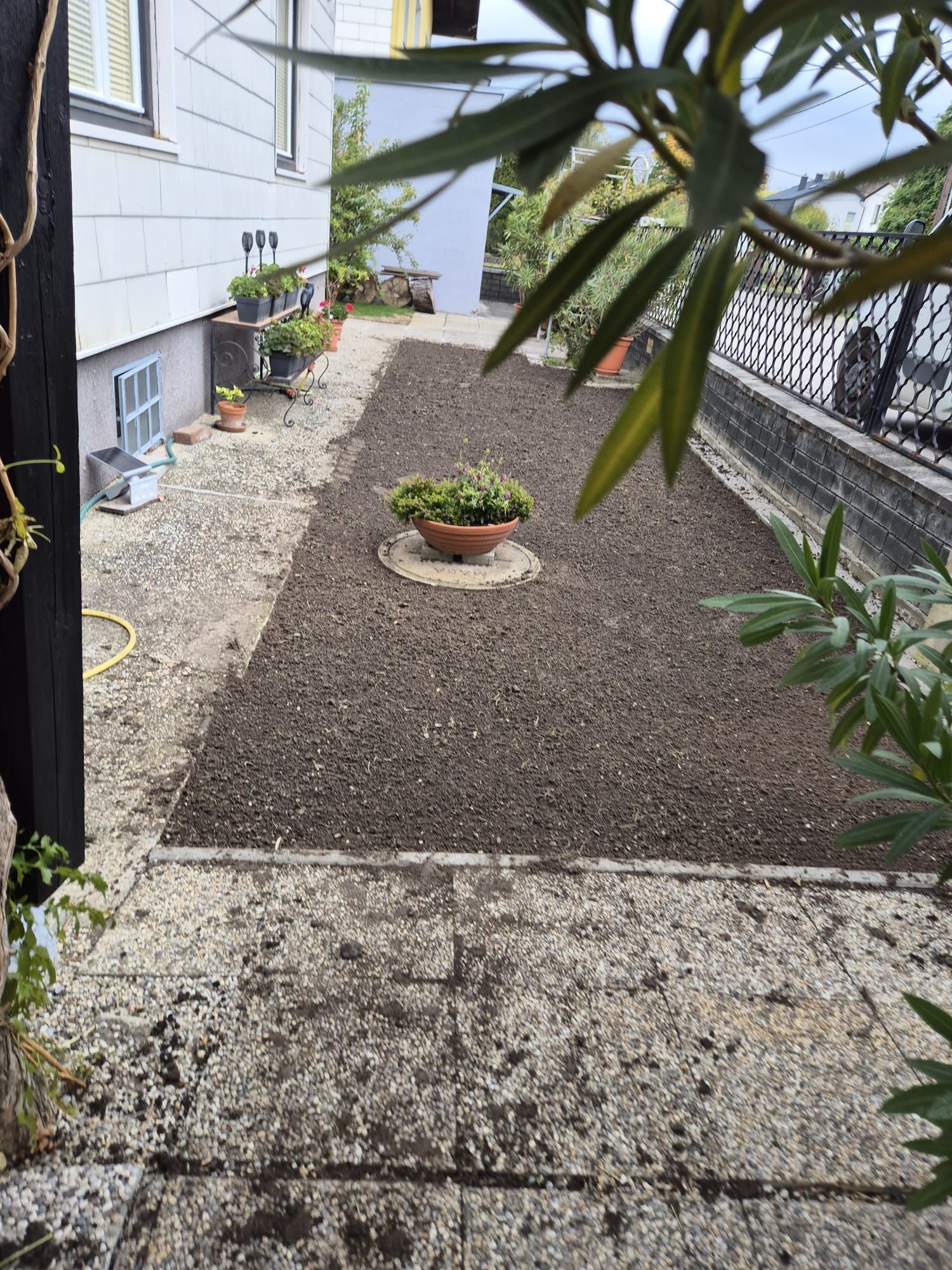 Ein kleiner Garten mit dunkler Erde, einer zentralen Topfpflanze und einem Steinweg.