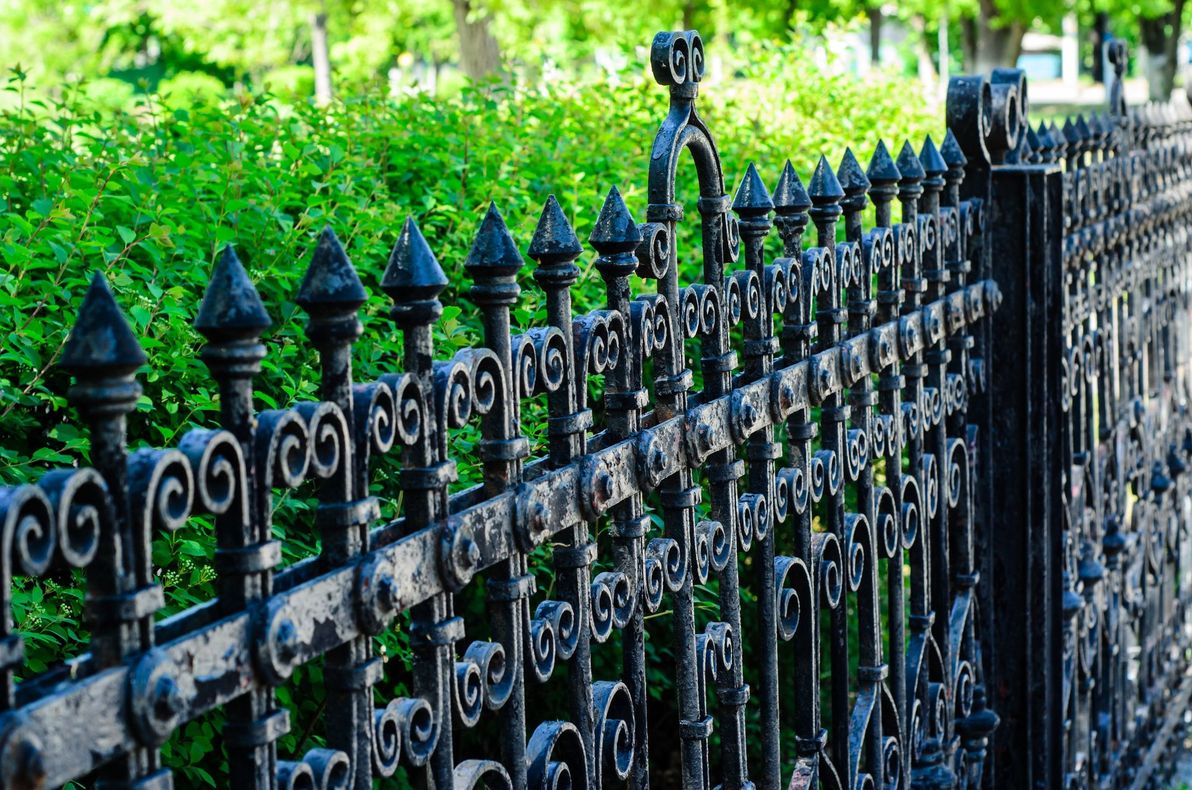 Un primer plano de una valla de hierro forjado en un parque con árboles al fondo.