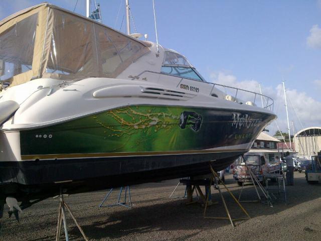 Adhésif couleur verte et noire sur bateau