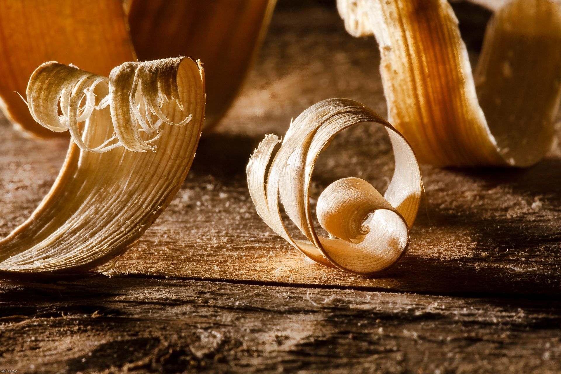 Des copeaux de bois recroquevillés.