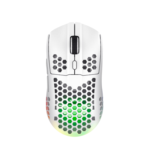 Souris Gaming