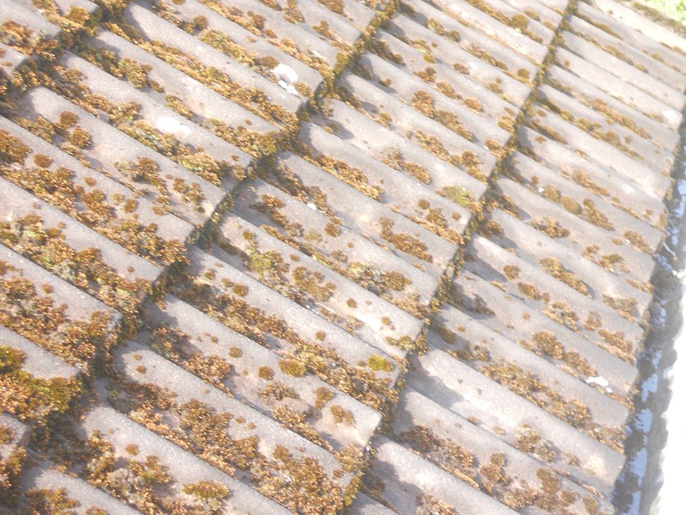 Eine Nahaufnahme eines Daches mit vielen Schindeln darauf