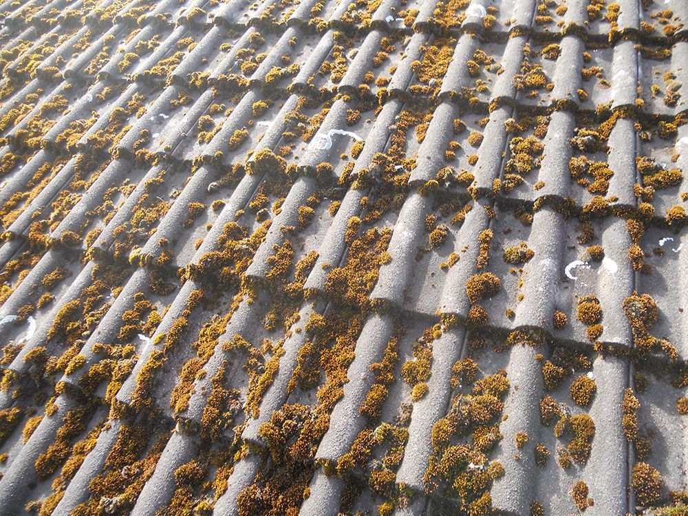 Ein Dach mit viel Moos darauf