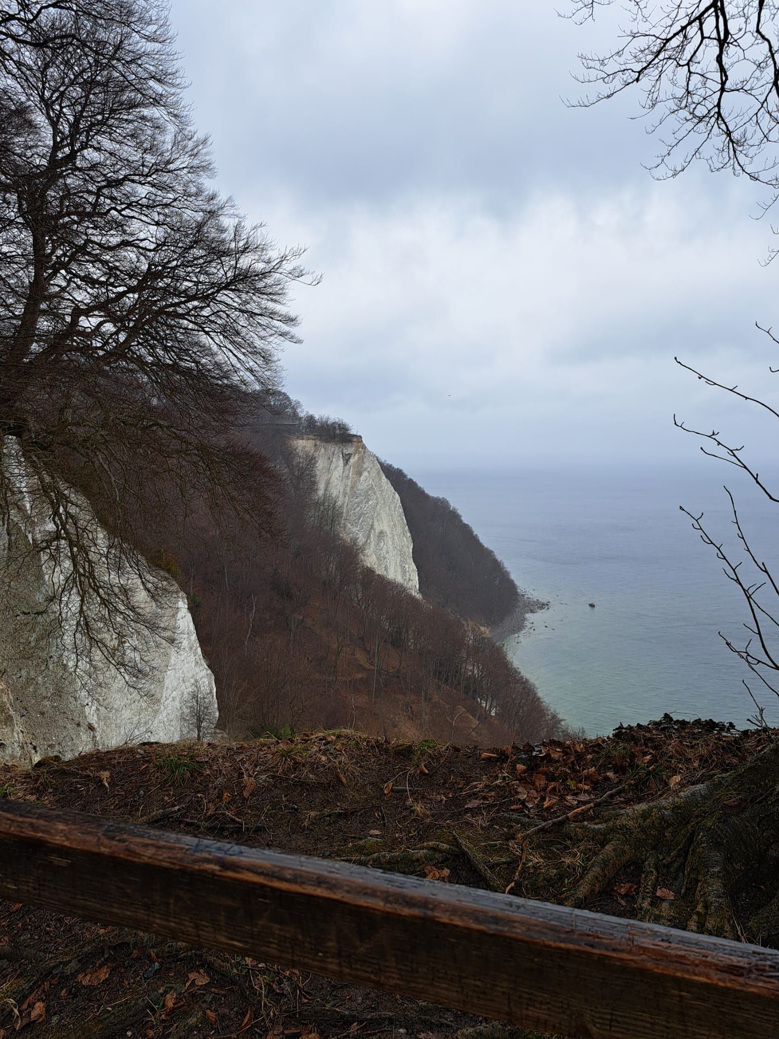 Blick auf weiße Kreidefelsen mit Blick auf das Meer, eingerahmt von kahlen Baumzweigen unter einem wolkigen, bedeckten Himmel.