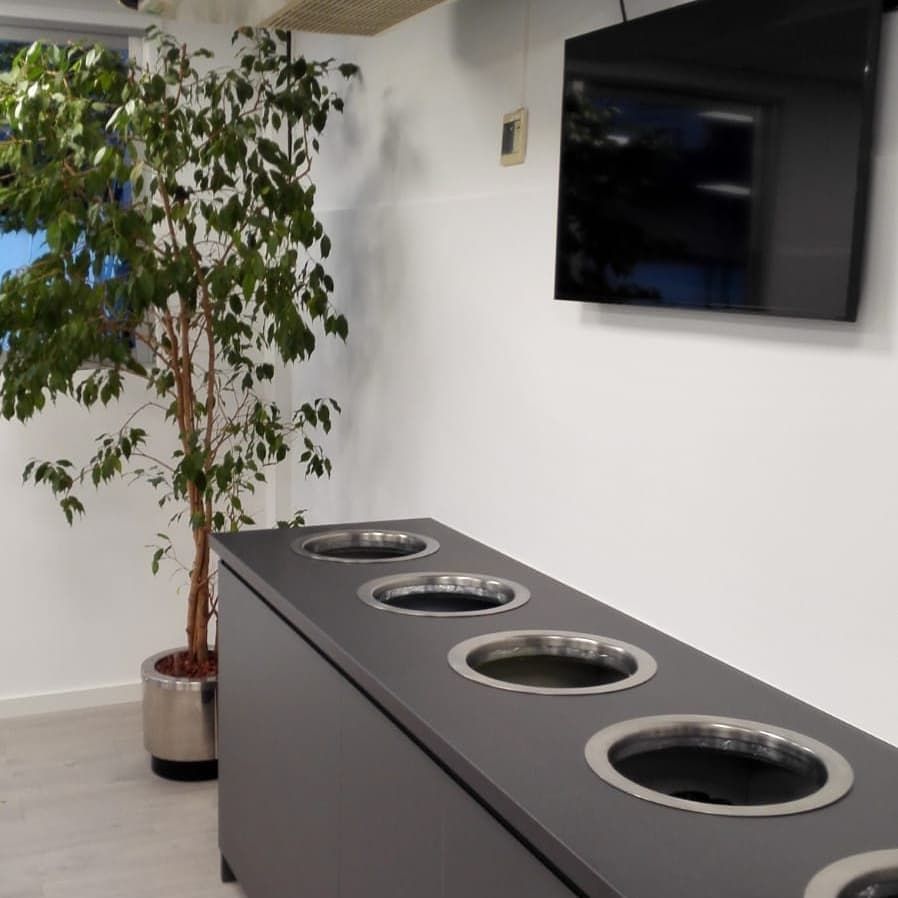 Estación de reciclaje gris con cinco aberturas circulares, un frondoso árbol de interior y un televisor montado.