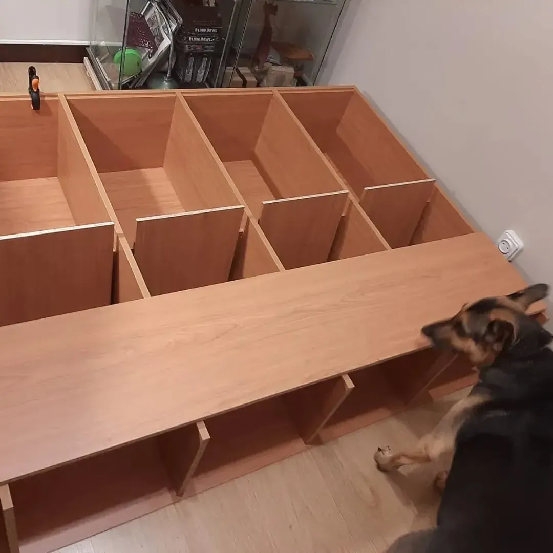 Estantería de madera ensamblada con un perro mirando hacia la derecha.